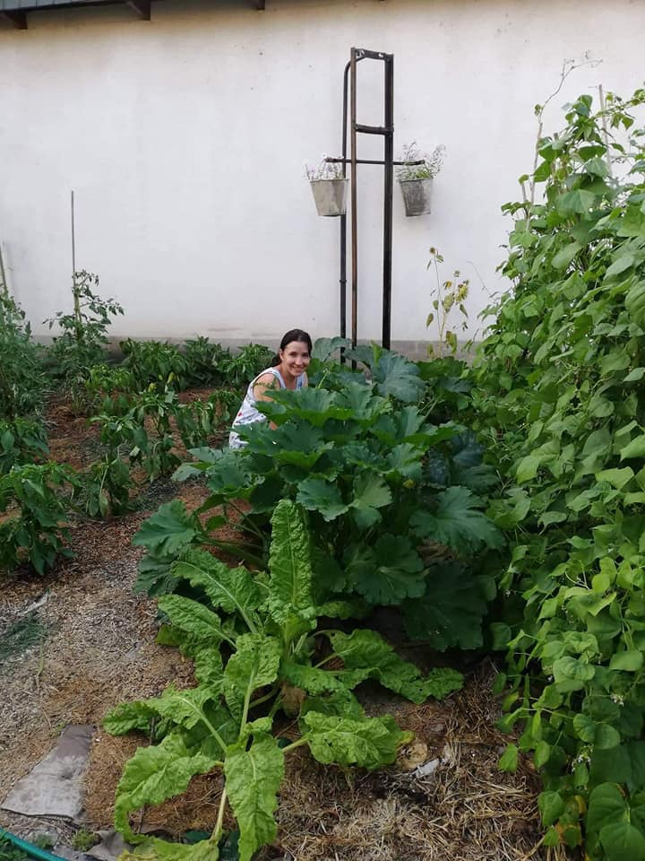Kertészkedjünk együtt a nyáron – Újraindul a Biokertész tanfolyam